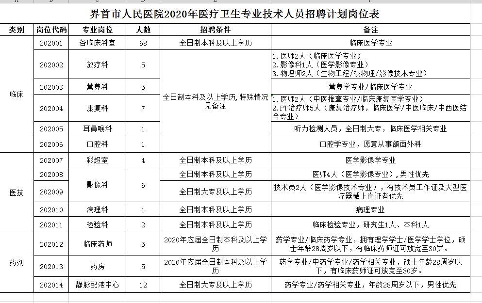 2020年阜陽界首市人民醫(yī)院醫(yī)療衛(wèi)生專業(yè)技術(shù)人員招聘計劃崗位表